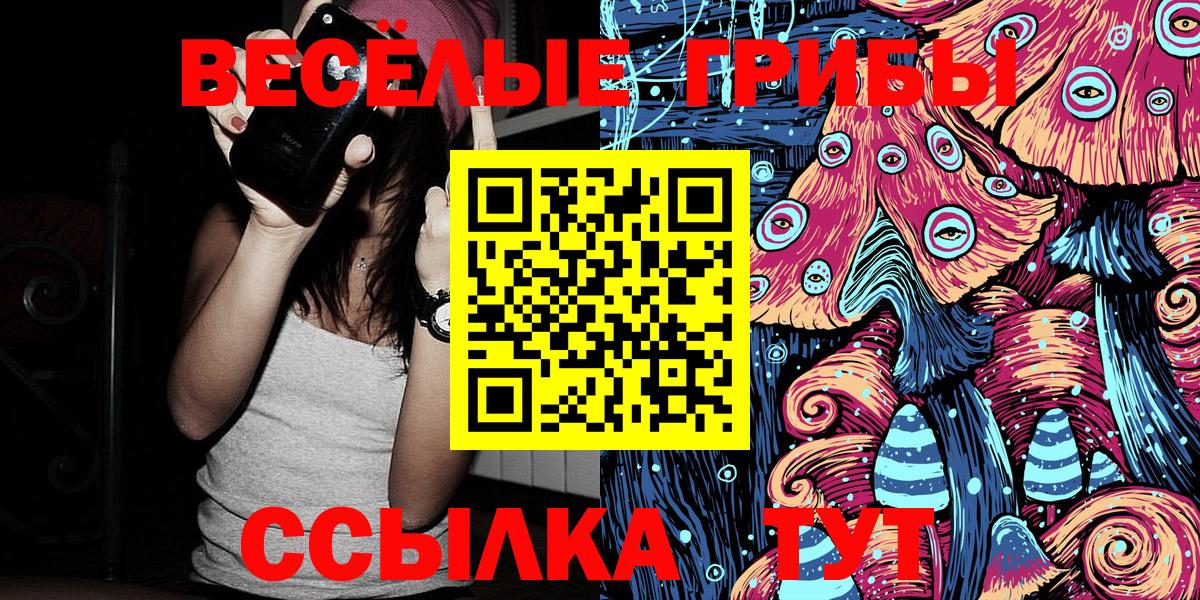 Галлюциногенные грибы Psilocybe  Вход с VPN  Надым 